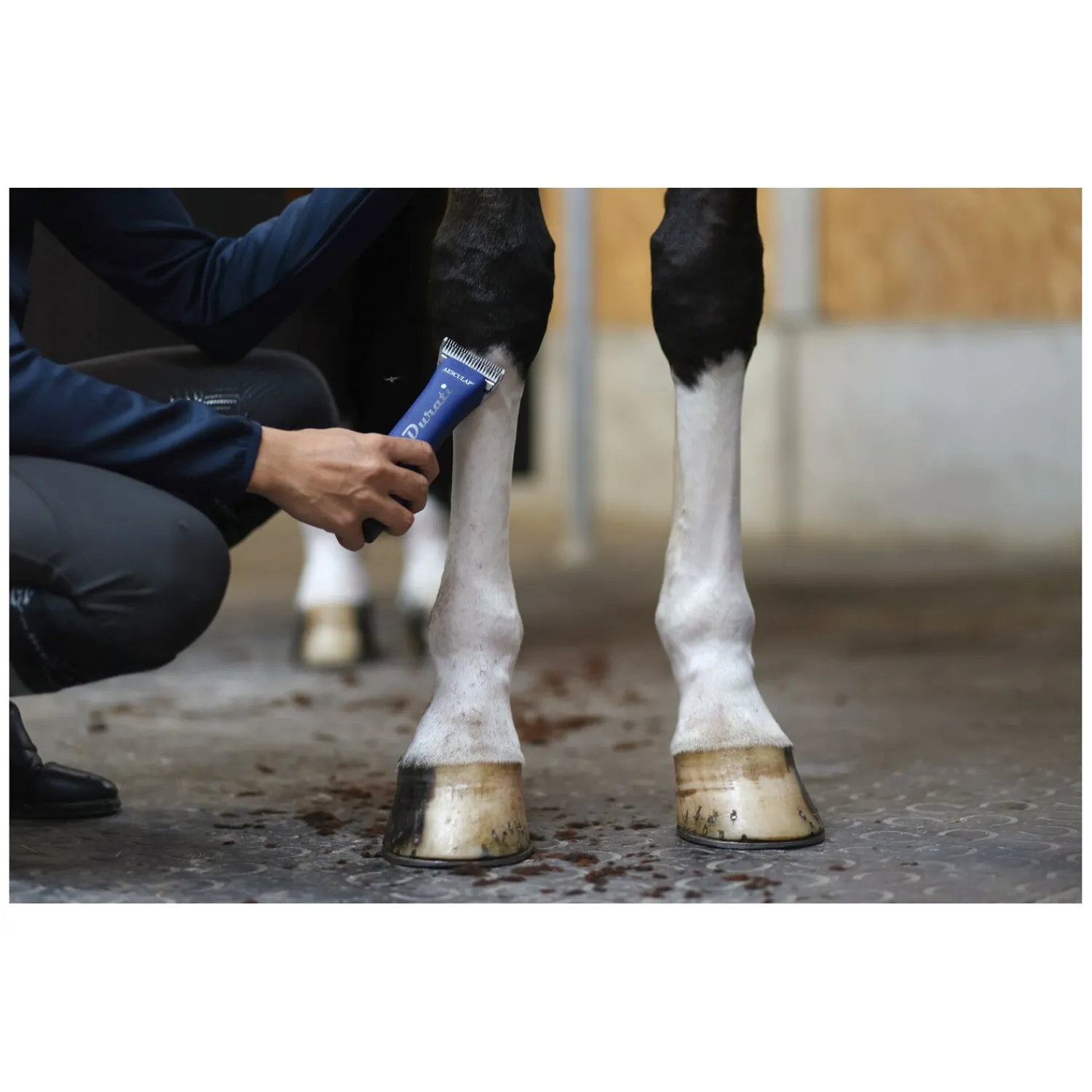 Loesdau Schermaschinen & Zubehör<AESCULAP Akku-Schermaschine Durati Horse