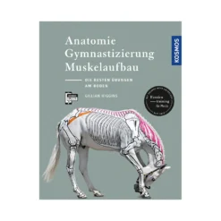 Loesdau Bücher & Multimedia<Anatomie, Gymnastizierung, Muskelaufbau