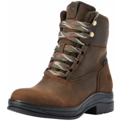 ARIAT Stallschuhe|Winterreitstiefel & -Schuhe<Outdoorstiefel Harper H2O