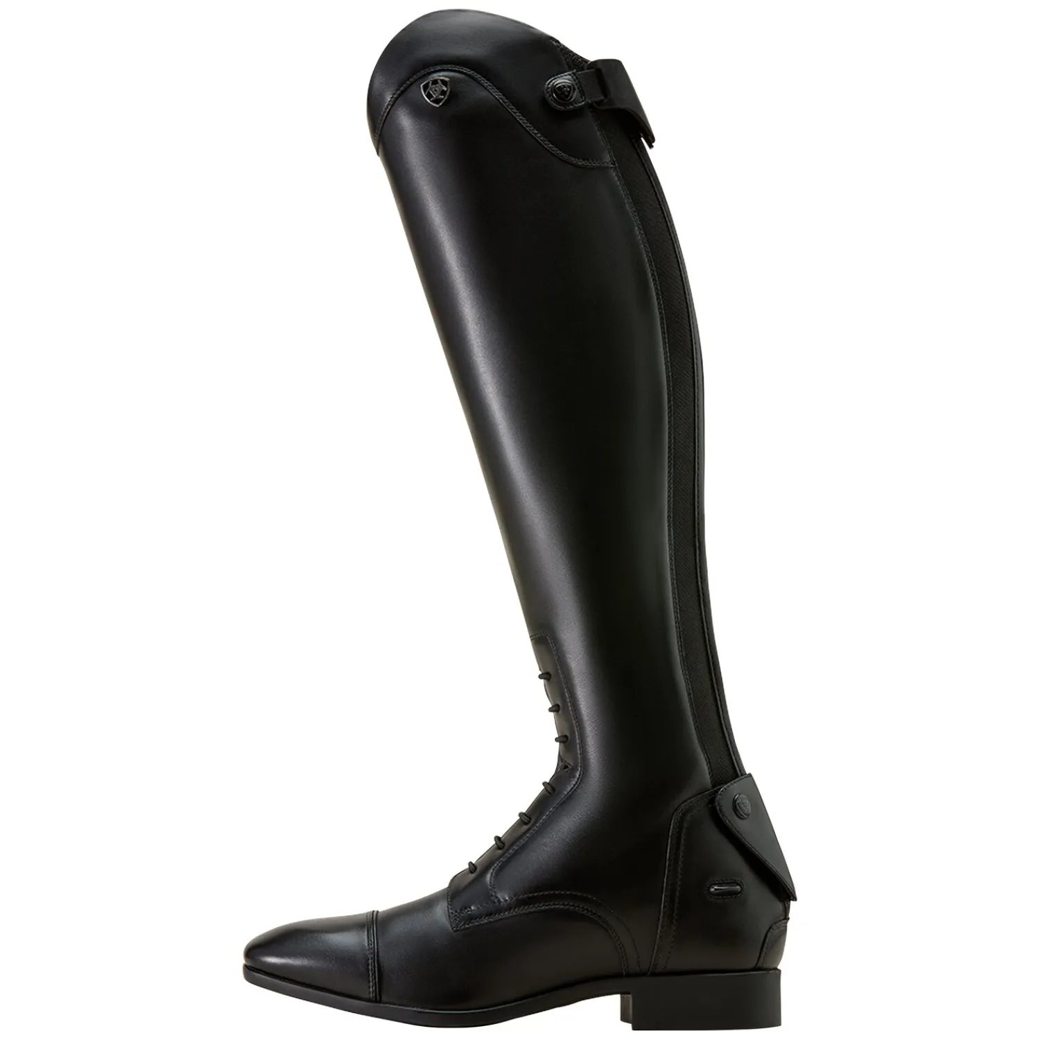 ARIAT Lederreitstiefel<Reitstiefel MNS Palisade Field