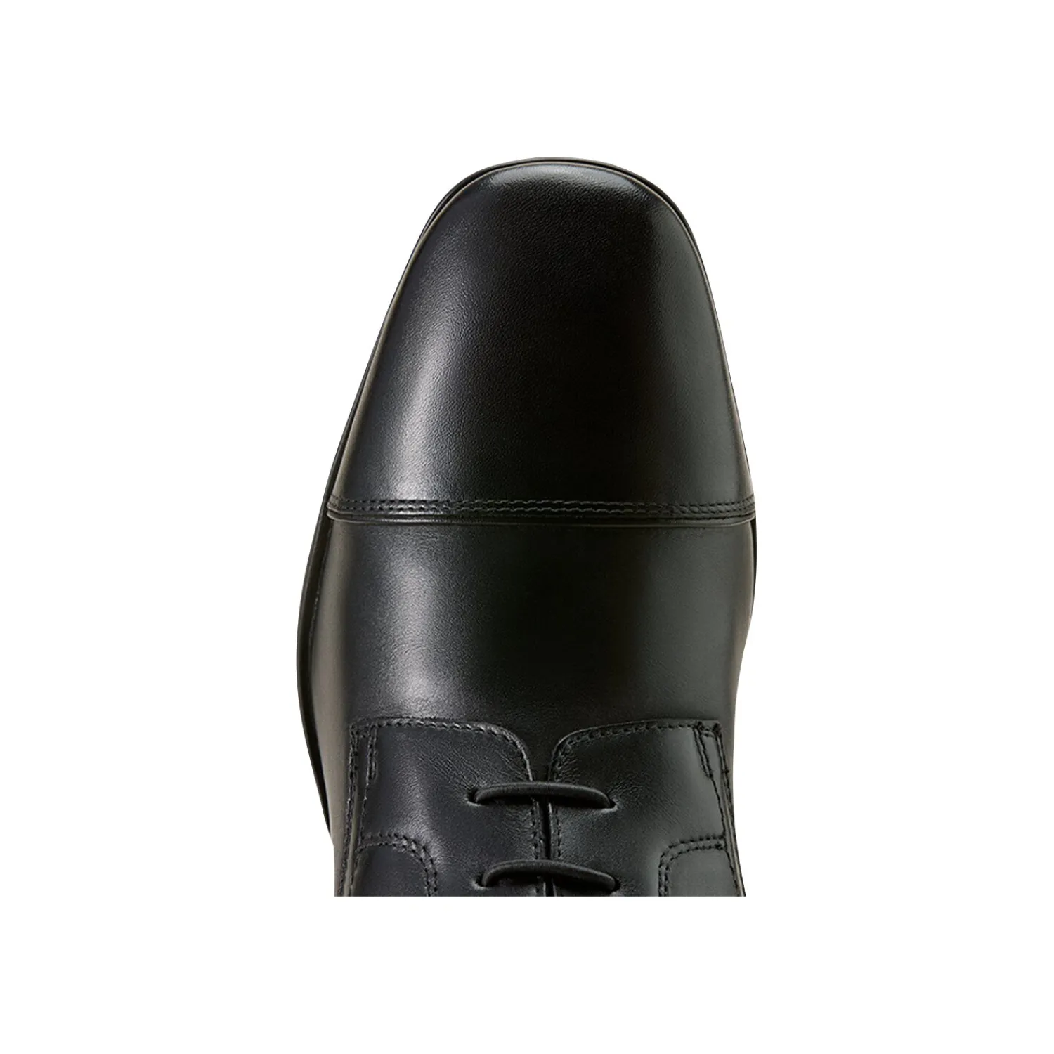 ARIAT Lederreitstiefel<Reitstiefel MNS Palisade Field