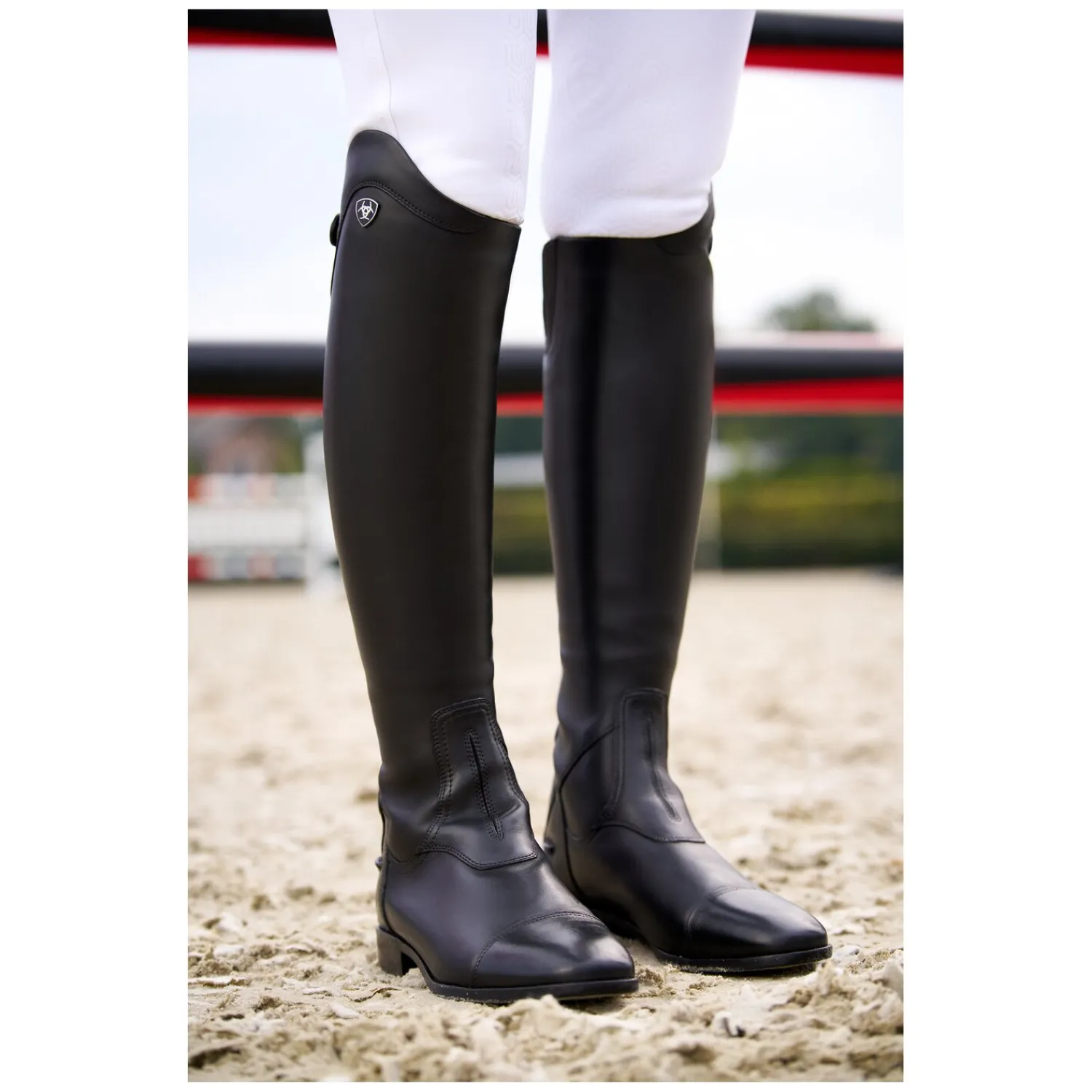 ARIAT Lederreitstiefel<Reitstiefel Palisade Dress