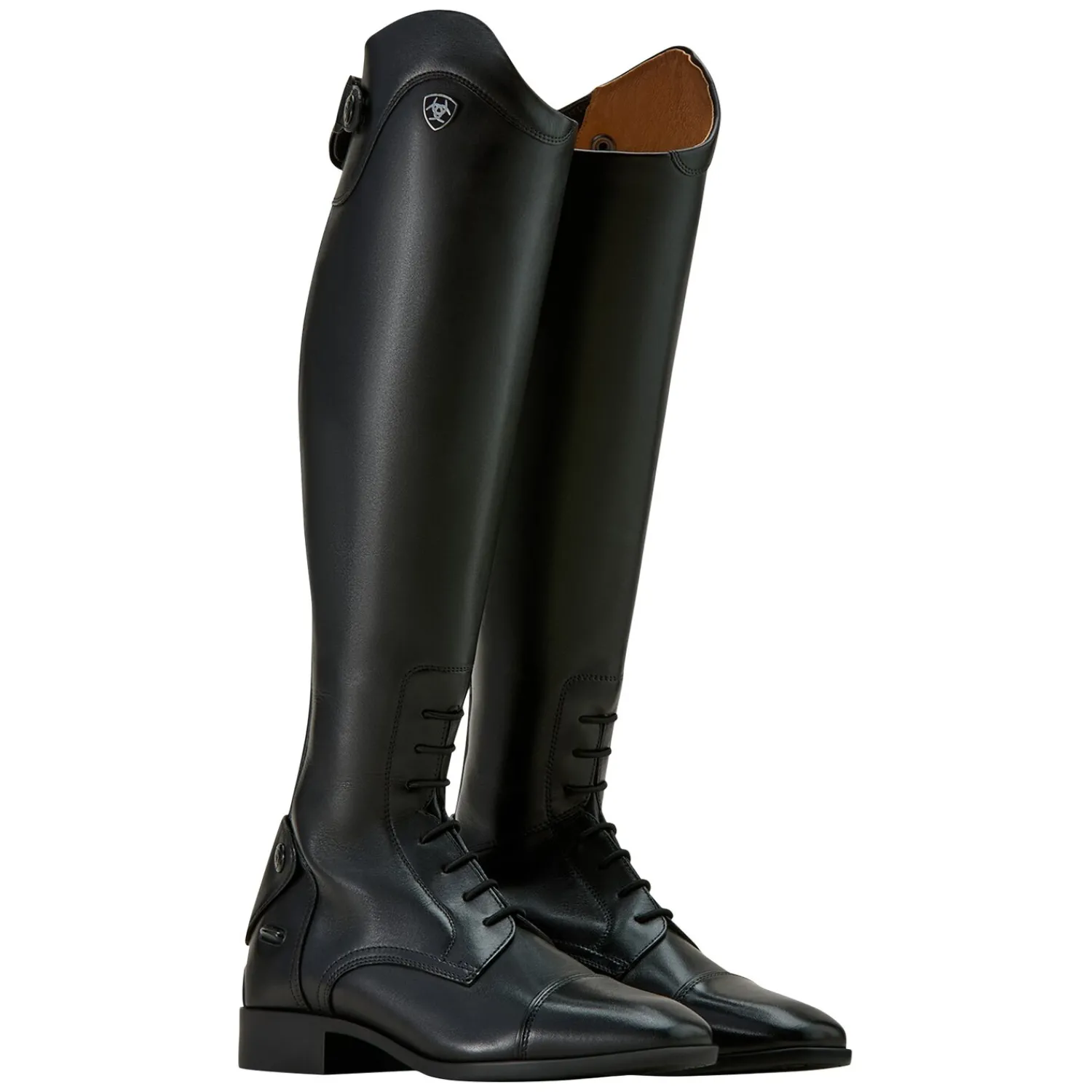 ARIAT Lederreitstiefel<Reitstiefel Palisade Field