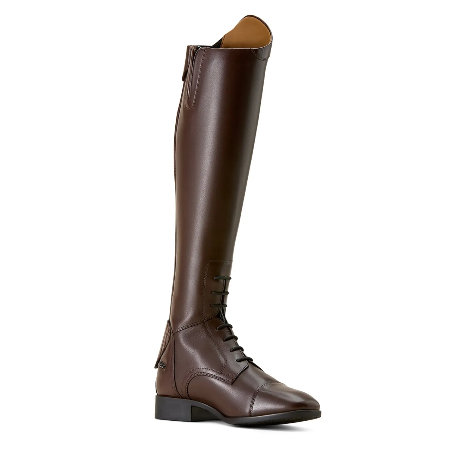 ARIAT Lederreitstiefel<Reitstiefel Palisade Field
