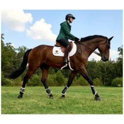 ARIAT Lederreitstiefel<Reitstiefel Palisade Field