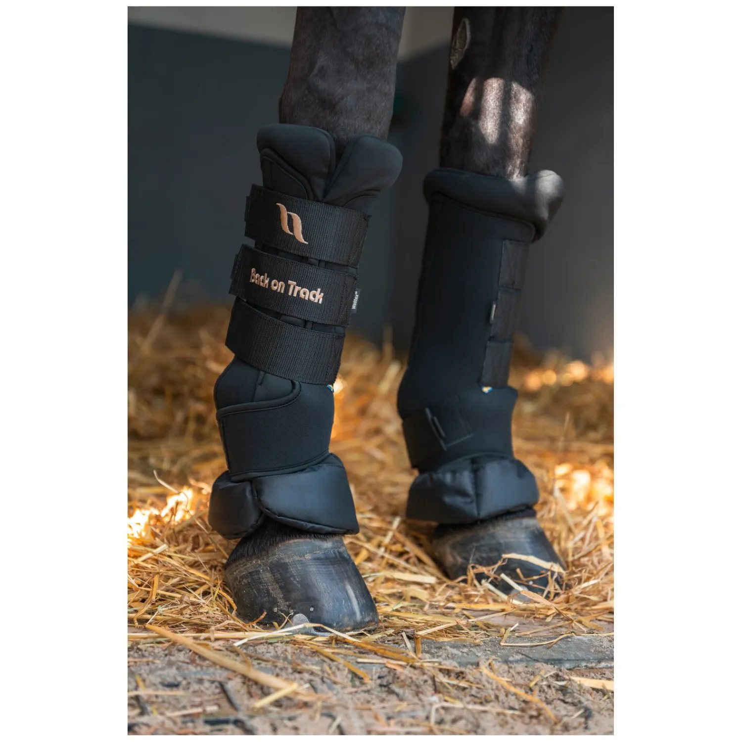 Back on Track Gamaschen|Therapie<Roya tagaachen Deuxe