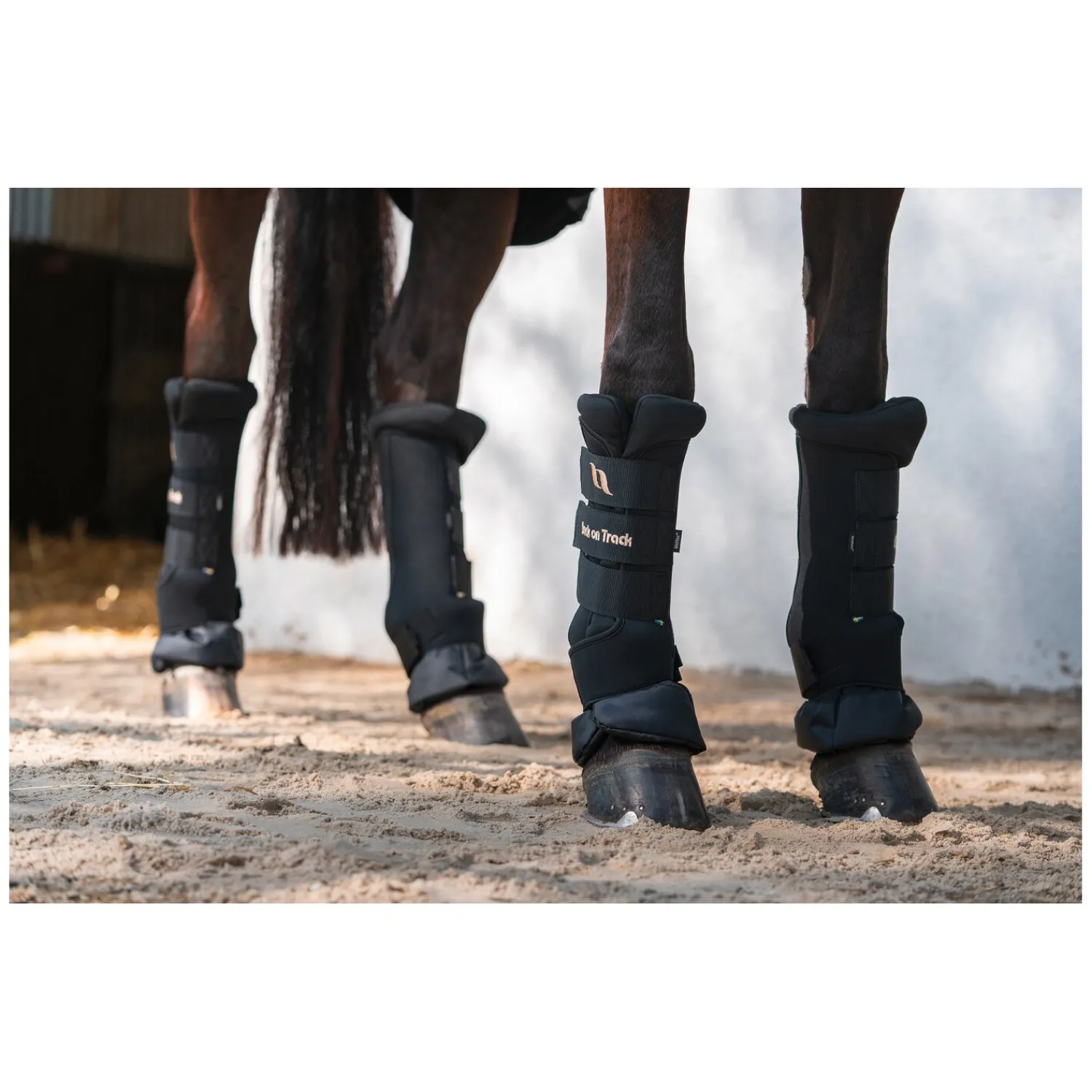 Back on Track Gamaschen|Therapie<Roya tagaachen Deuxe