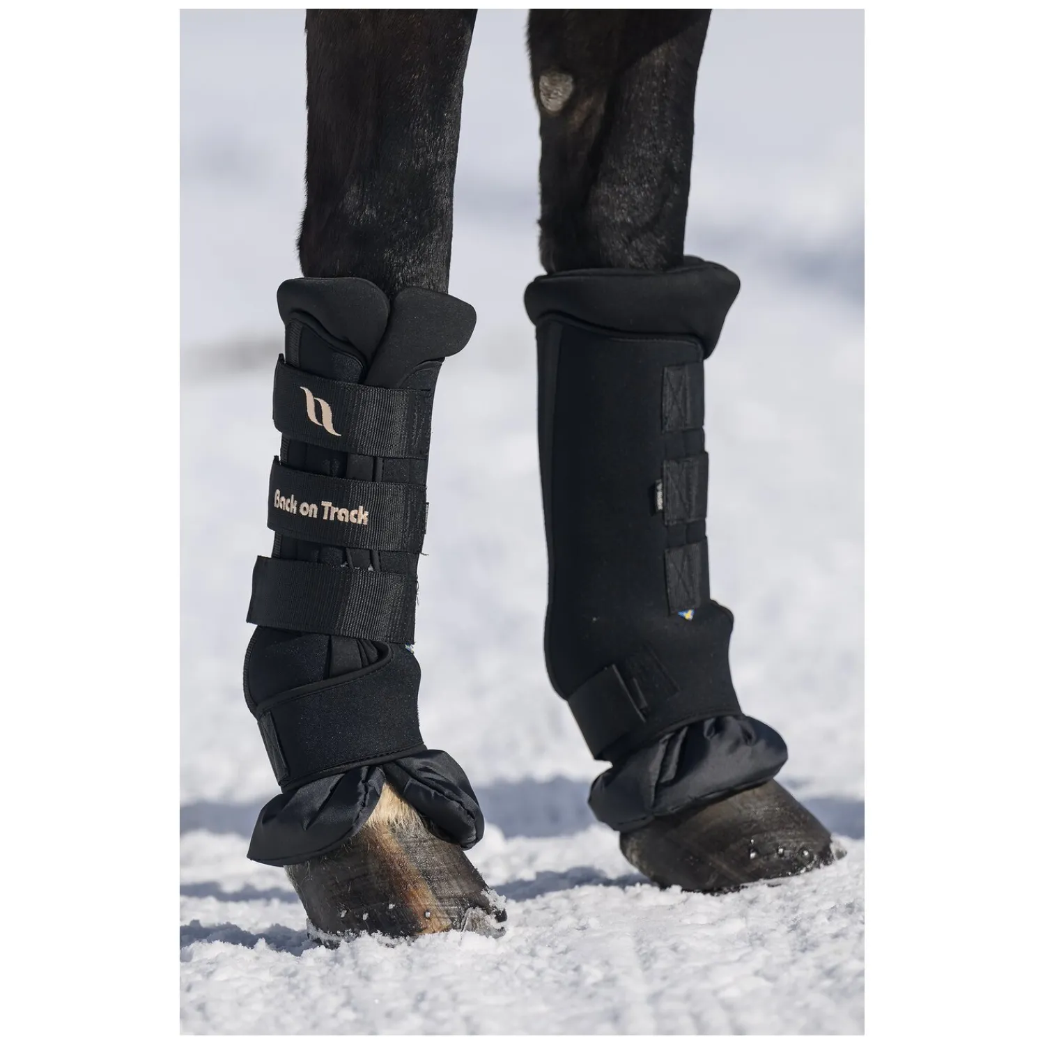 Back on Track Gamaschen|Therapie<Roya tagaachen Deuxe