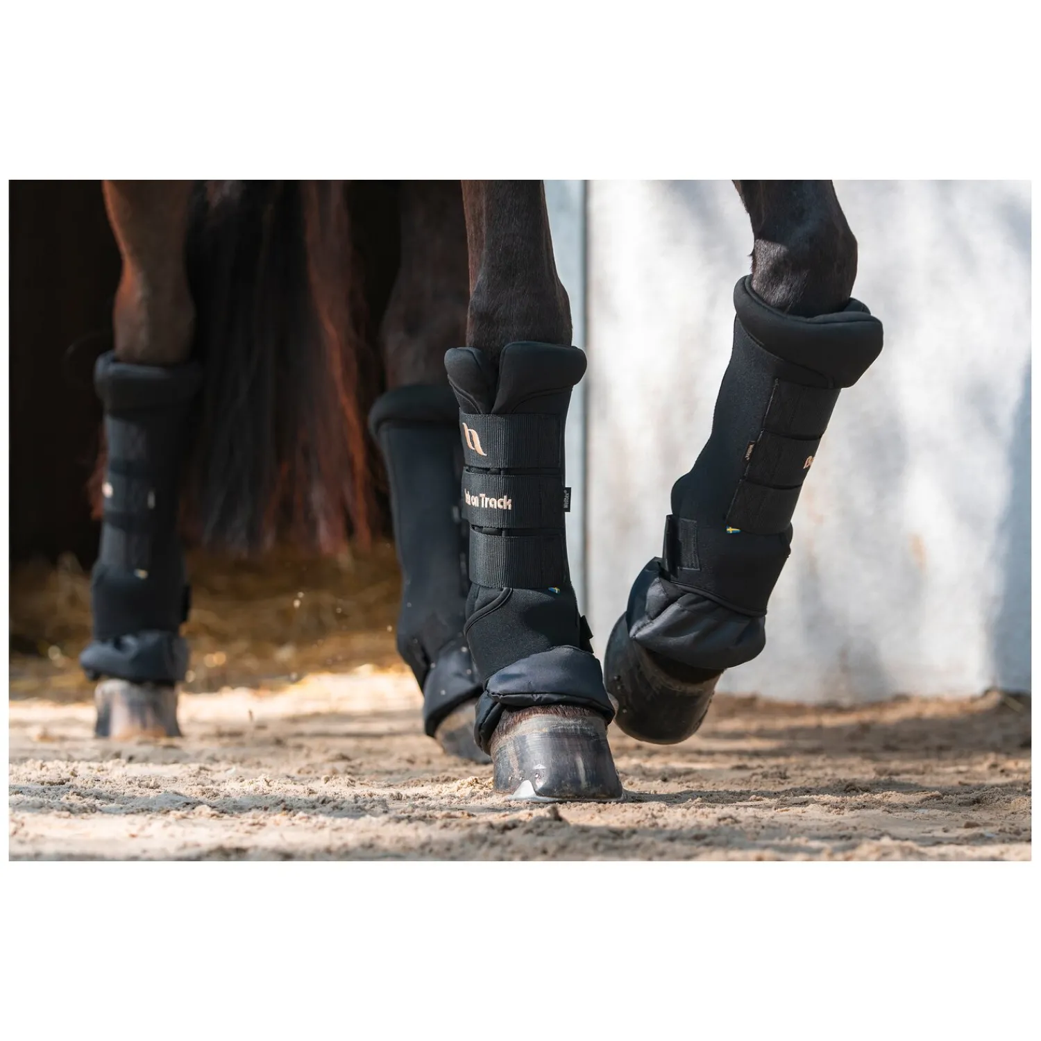 Back on Track Gamaschen|Therapie<Roya tagaachen Deuxe