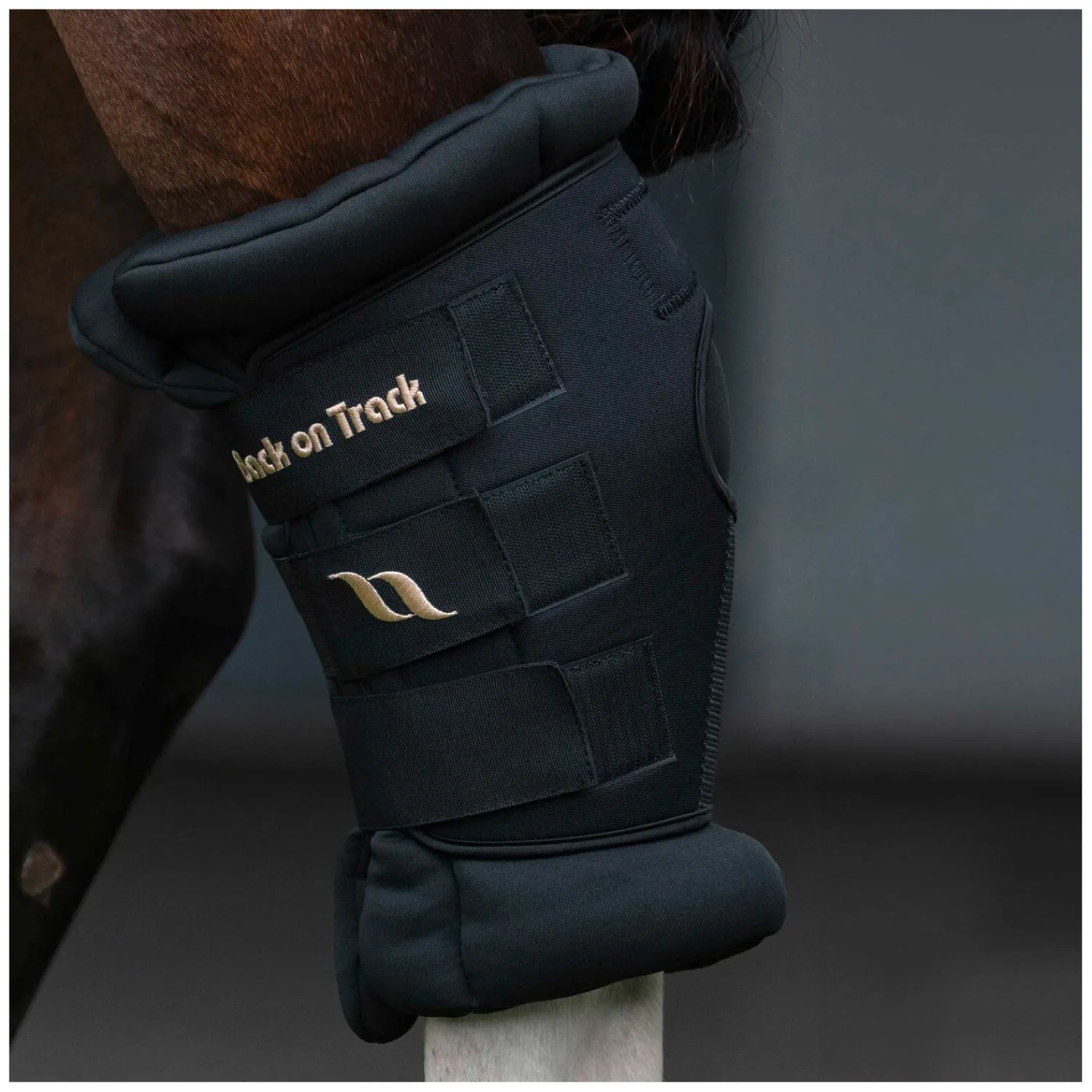 Back on Track Gamaschen|Therapie<prunggeenkchoner Roya Deuxe