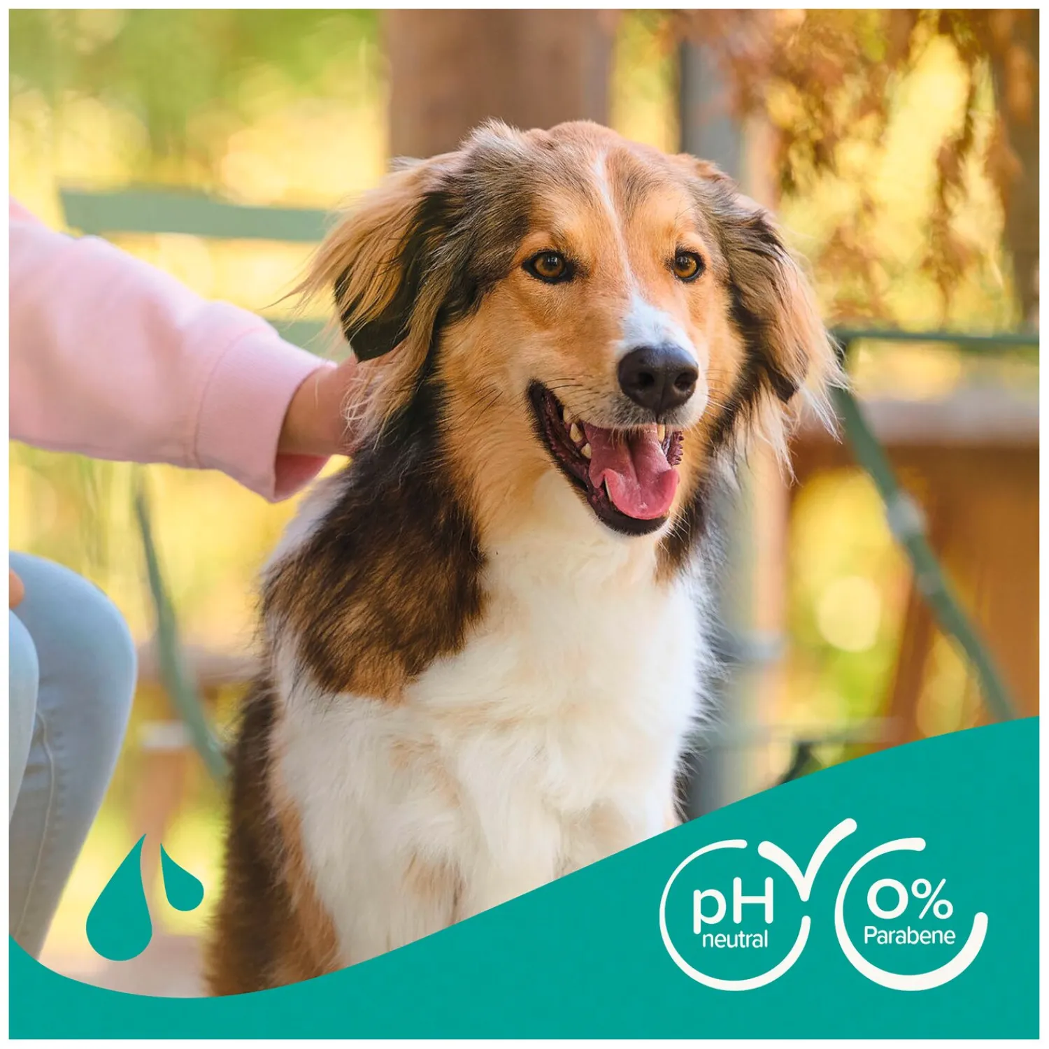 Loesdau Pflegeprodukte<beaphar Hundeshampoo Fell-Glanz
