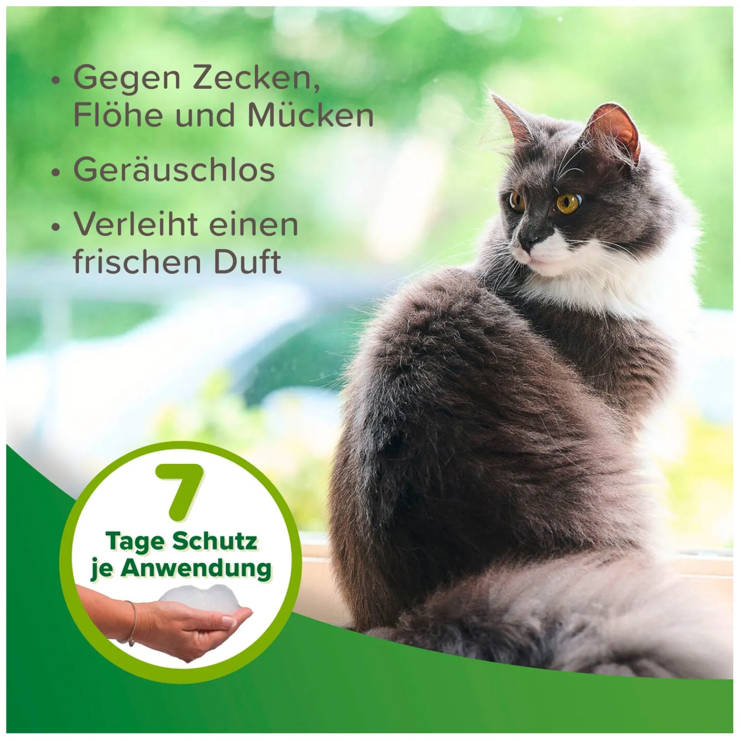 Loesdau Pflegeprodukte<beaphar Zecken- und Flohschutz Shampoo