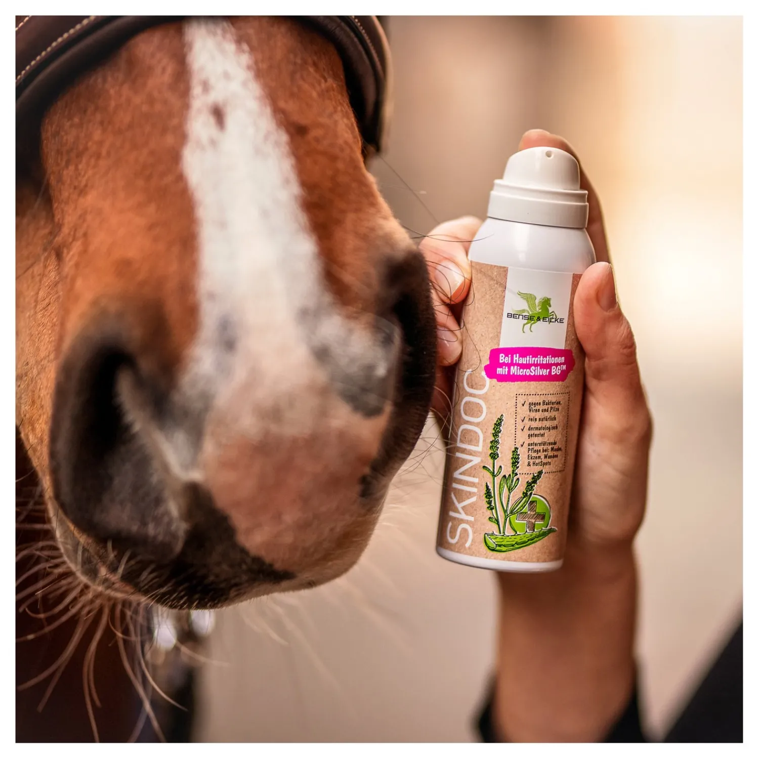 Loesdau Stallapotheke|Hundeapotheke<BENSE & EICKE SkinDoc