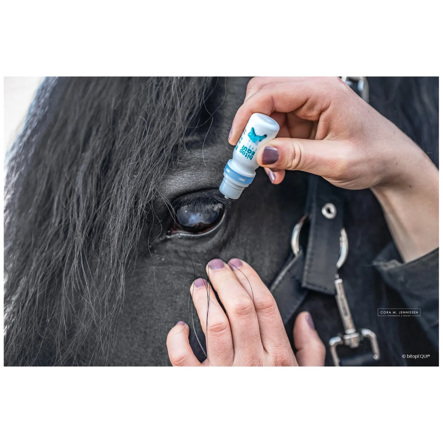 Loesdau Stallapotheke<bitopEQUI EYE-Care