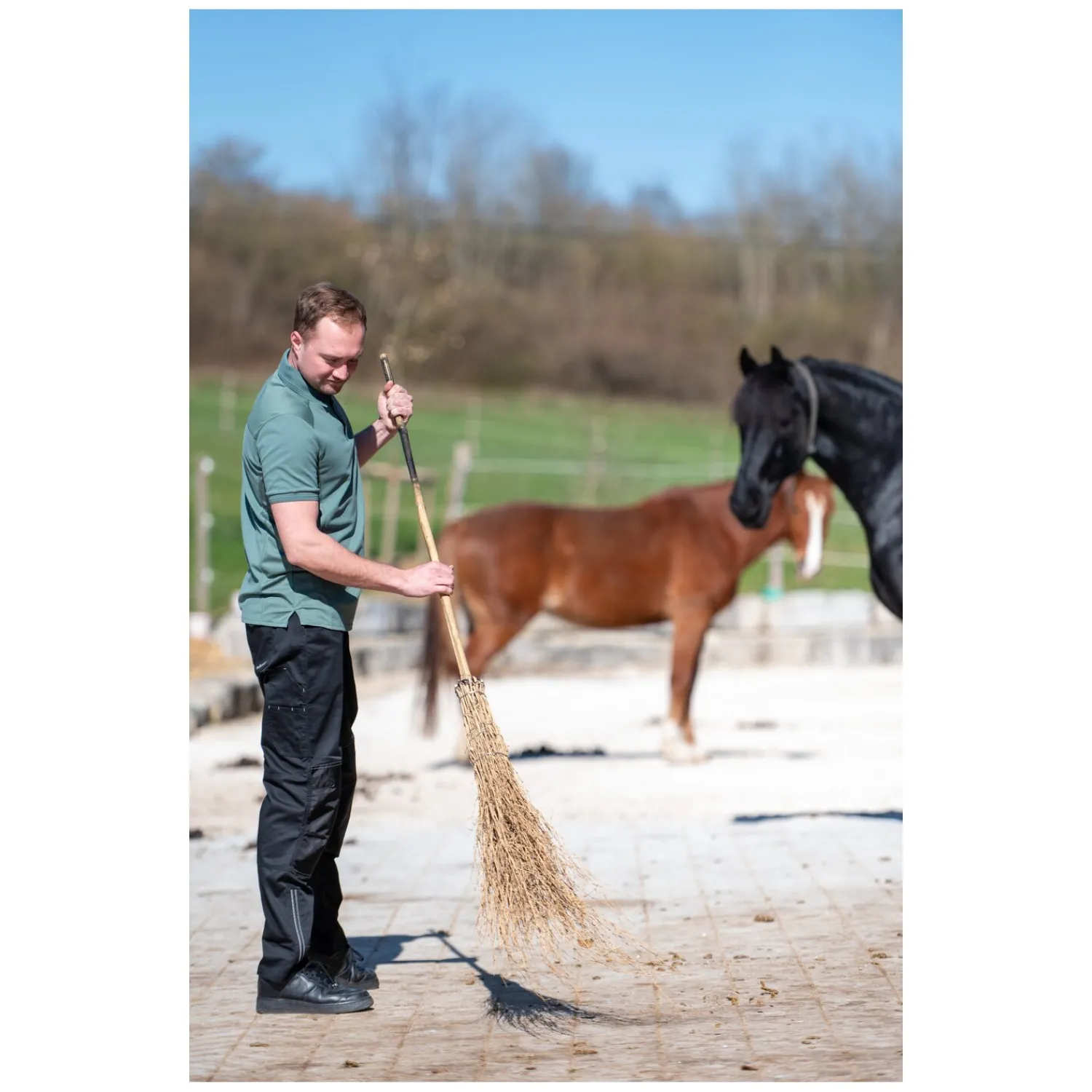 Herren black forest Polo & T-Shirts|Funktionsshirts<Funktion-Poohirt