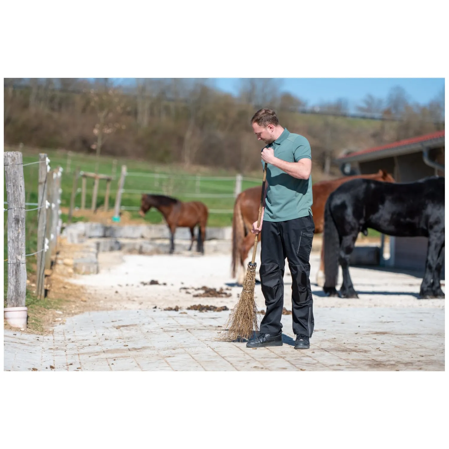 Herren black forest Polo & T-Shirts|Funktionsshirts<Funktion-Poohirt