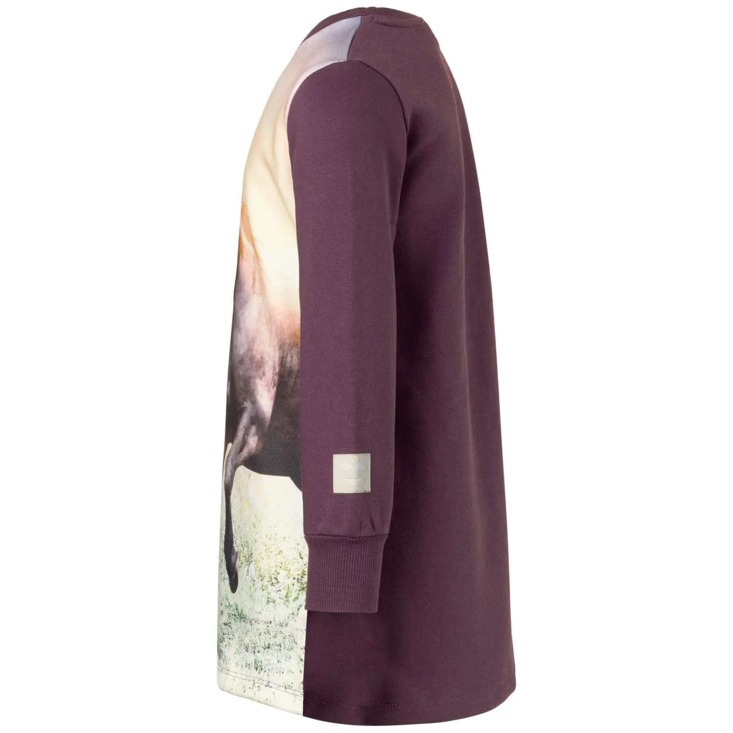 Kinder Loesdau Pullover & Hoodies<BONDI Sweatkleid Pferd