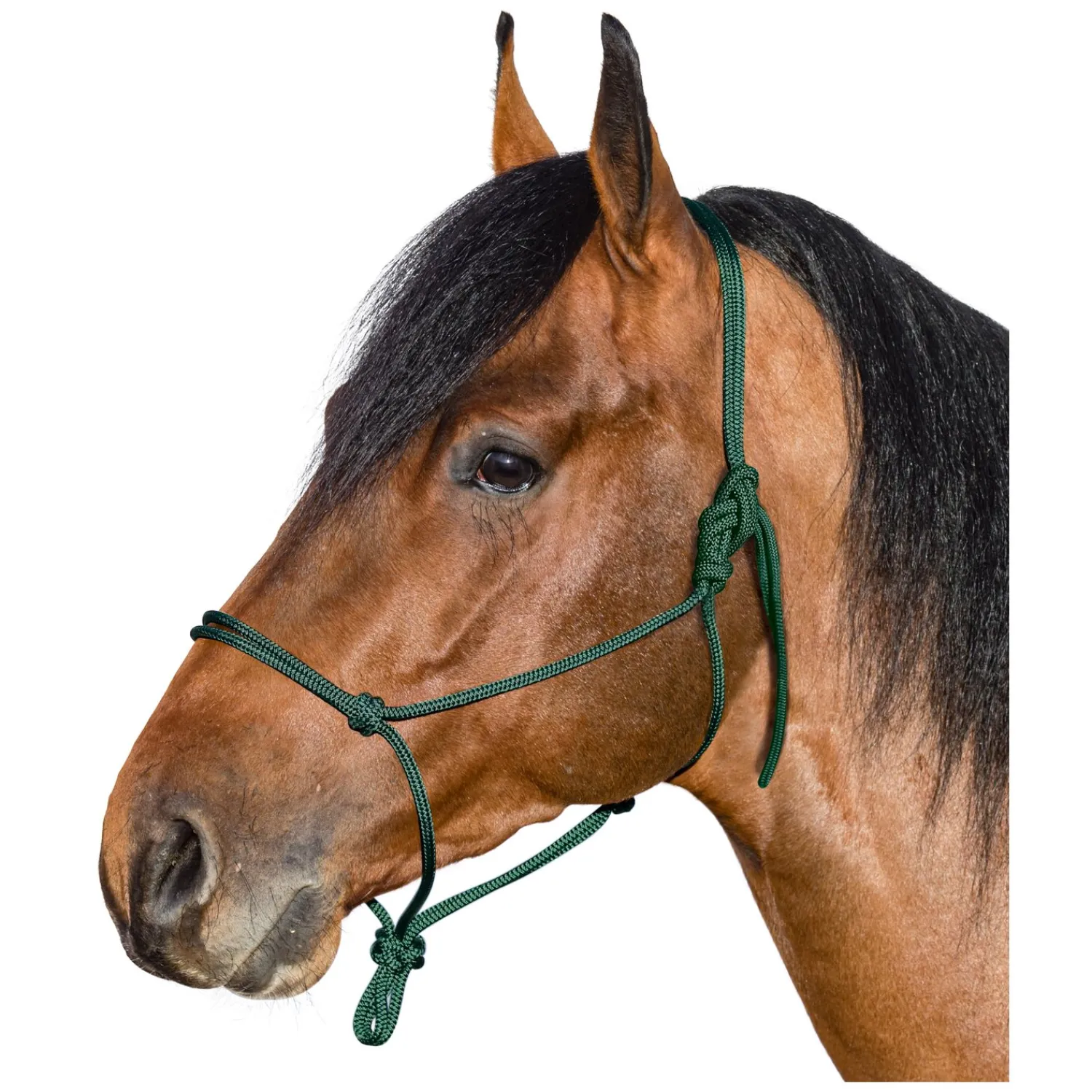 Brockamp Geschenke Für Reiter|Knotenhalfter<Knotenhalfter Horse-Man-Halfter