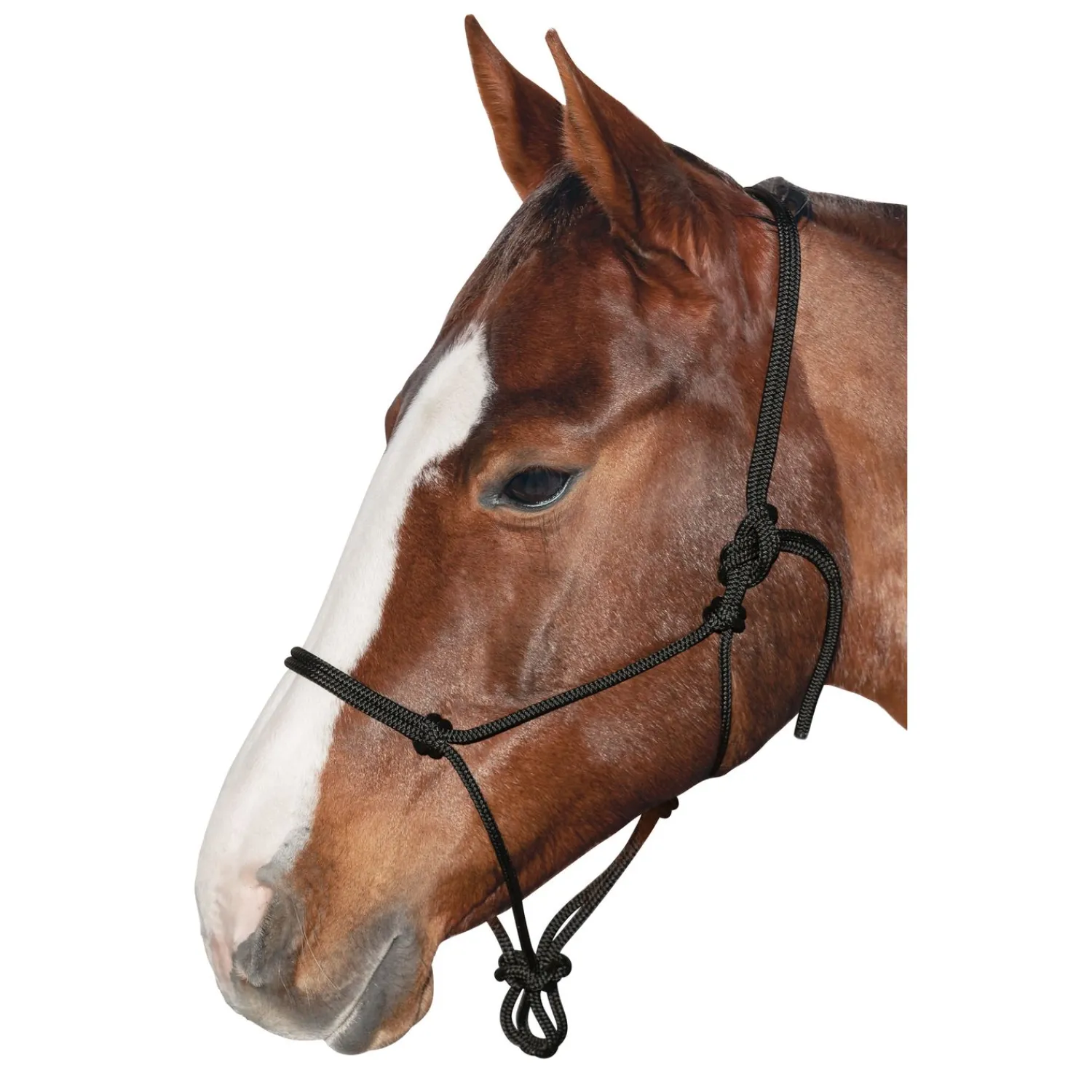 Brockamp Geschenke Für Reiter|Knotenhalfter<Knotenhalfter Horse-Man-Halfter