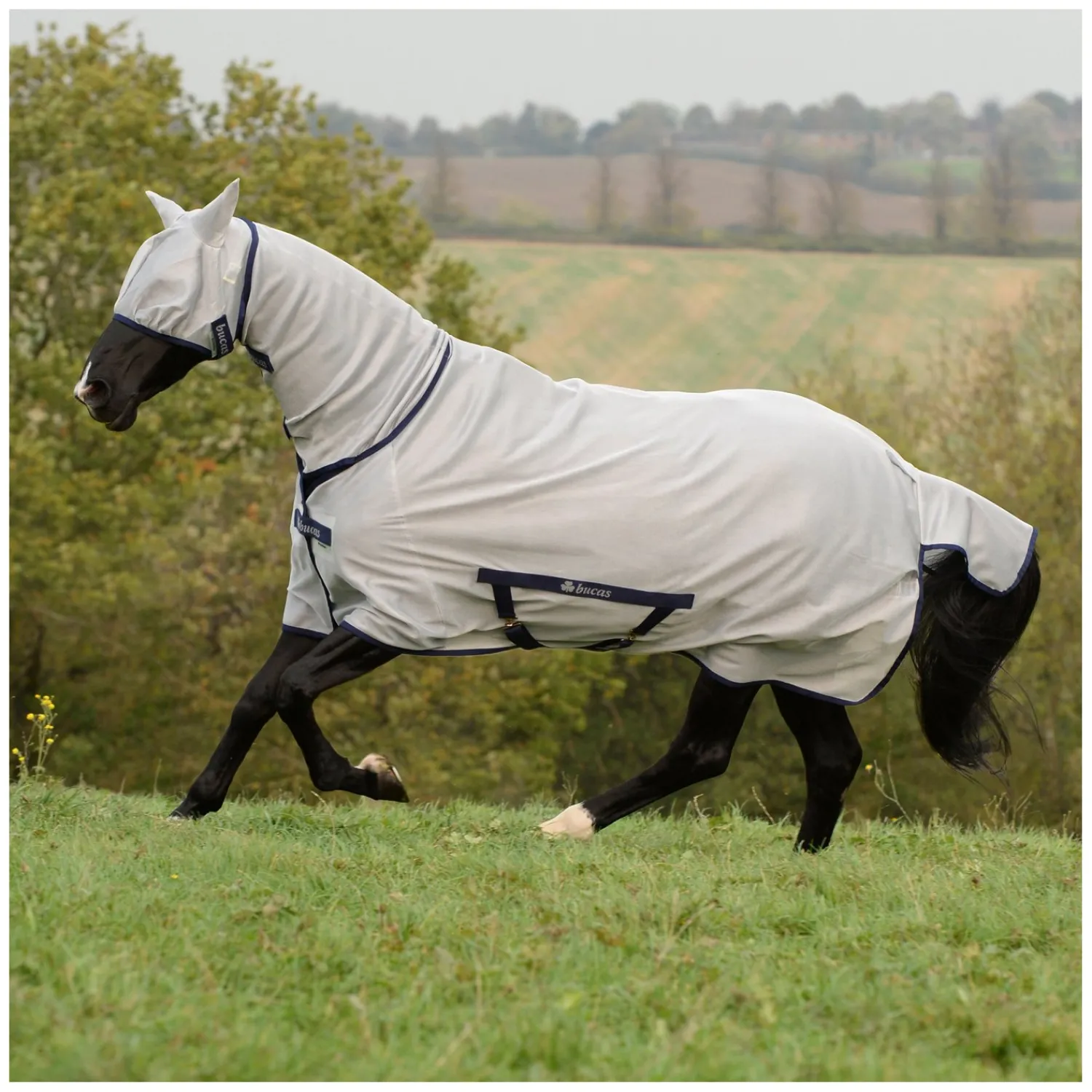 bucas Fliegendecken|Pferdedecken<Fliegendecke Freedom Fly Sheet