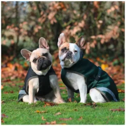 bucas Hundemäntel<Hundemantel Dog Rug Freedom 50 g