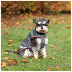 bucas Hundemäntel<Hundemantel Dog Rug Freedom 50 g