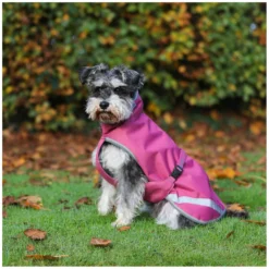 bucas Hundemäntel<Hundemantel Dog Rug Freedom 50 g