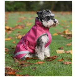 bucas Hundemäntel<Hundemantel Dog Rug Freedom 50 g