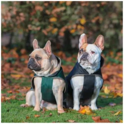 bucas Hundemäntel<Hundemantel Dog Rug Freedom 300 g