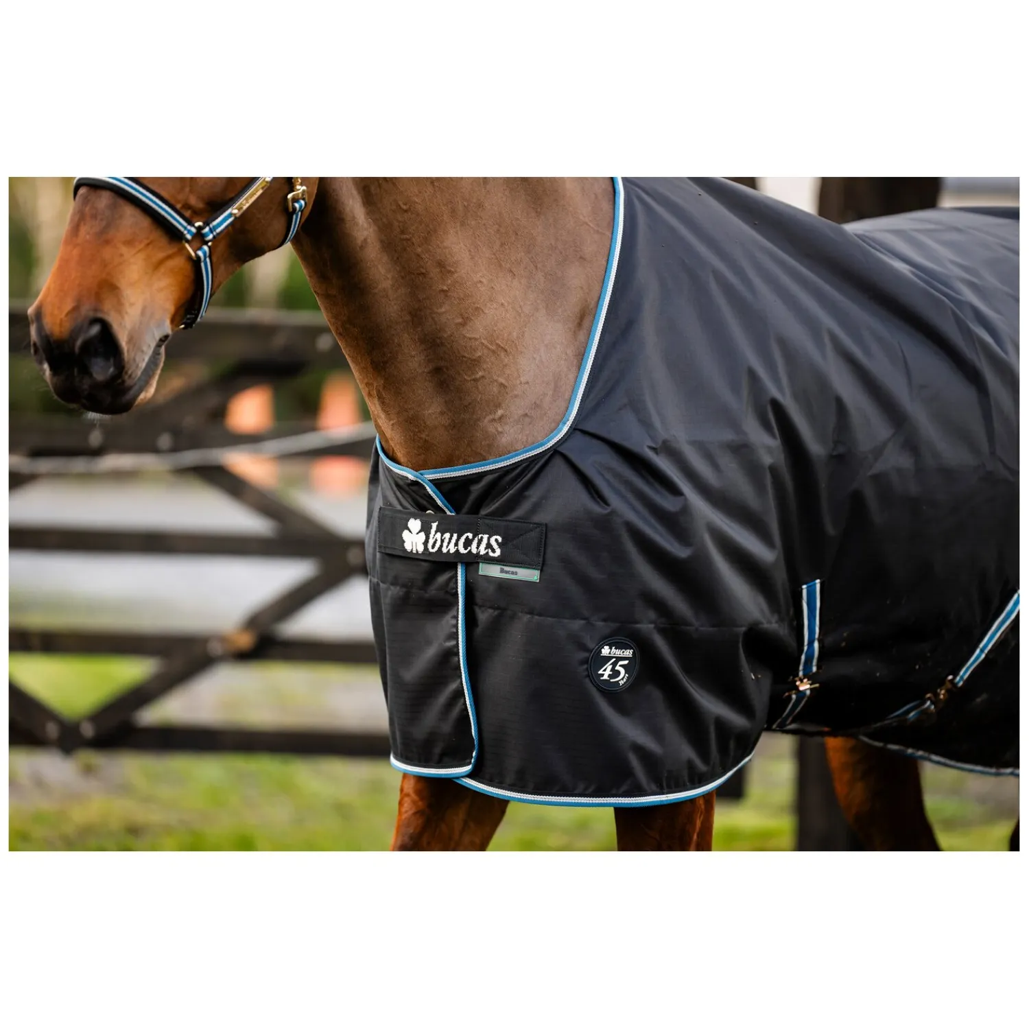 bucas Pferdedecken<Outdoordecke Anniversary Black Turnout Light