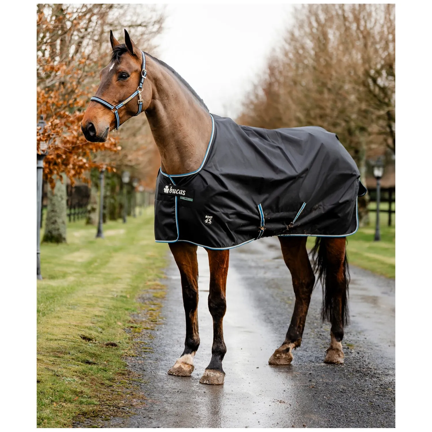 bucas Pferdedecken<Outdoordecke Anniversary Black Turnout Light
