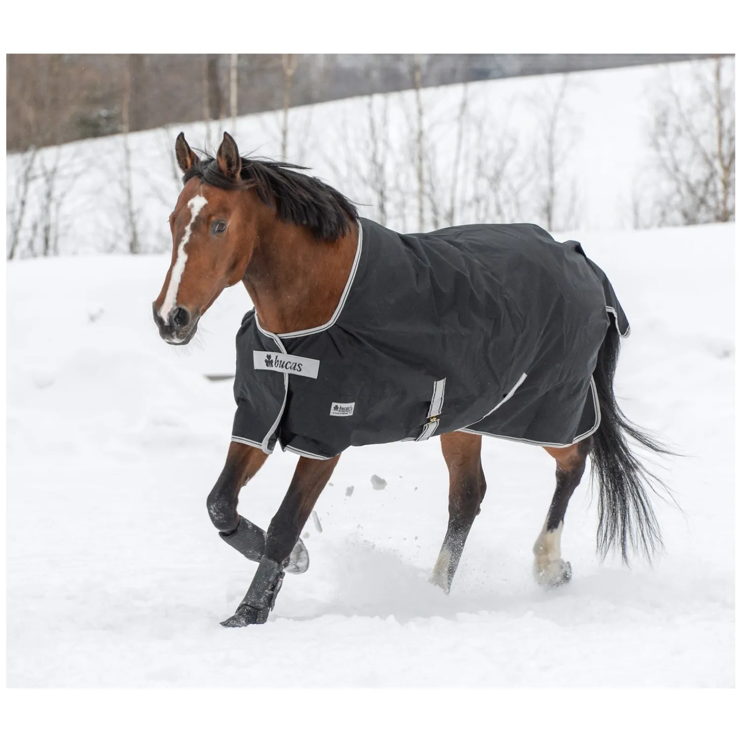 bucas Pferdedecken<Outdoordecke Anniversary Turnout Light