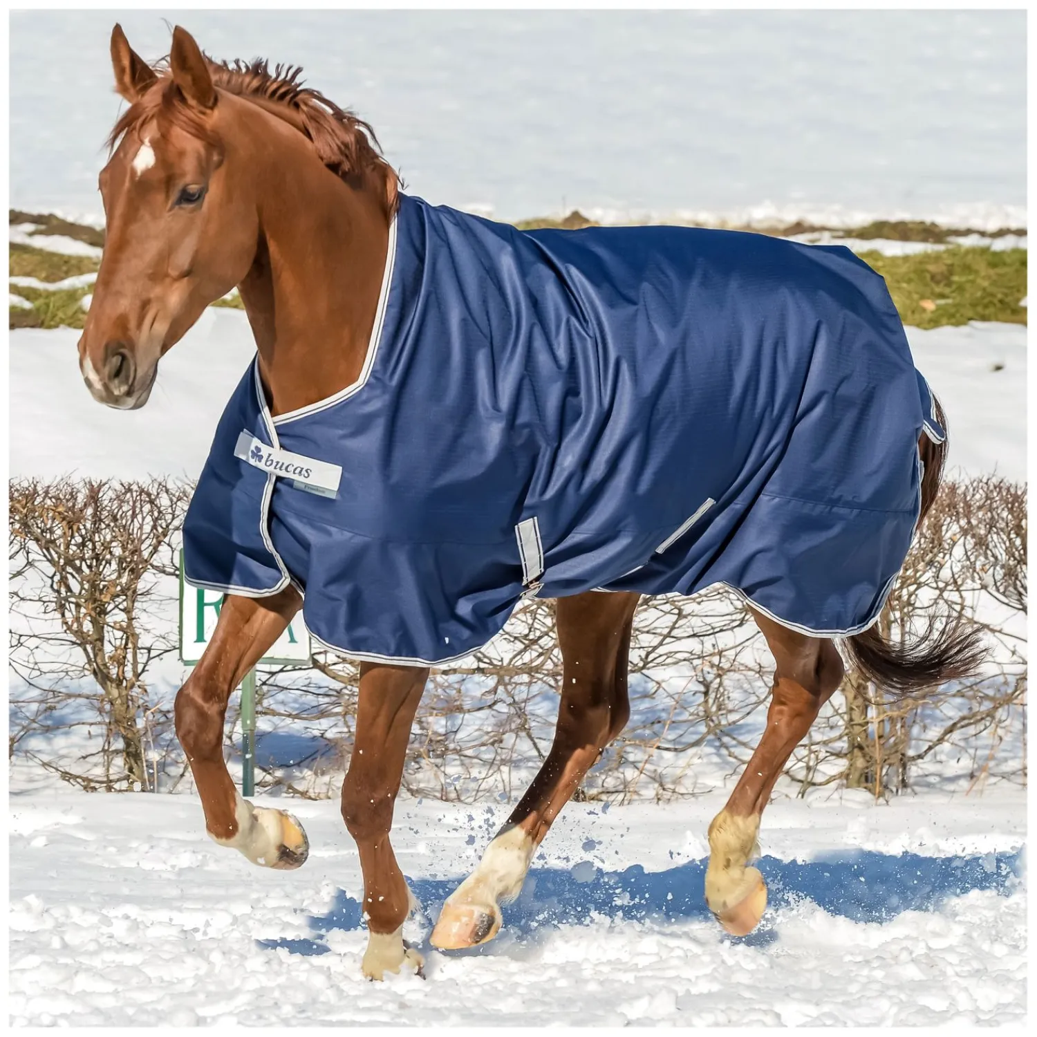 bucas Pferdedecken<Outdoordecke Freedom Turnout