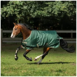 bucas Pferdedecken<Outdoordecke Freedom Turnout