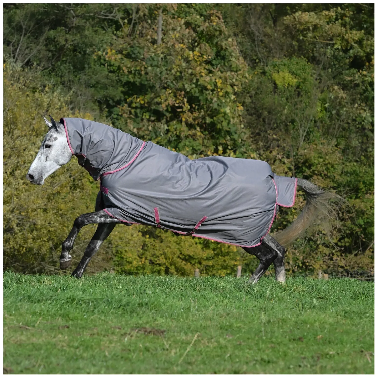 bucas Pferdedecken<Outdoordecke Freedom Turnout Full Neck Light