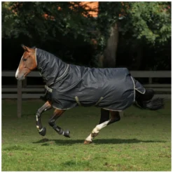bucas Pferdedecken<Outdoordecke Freedom Turnout Full Neck Light