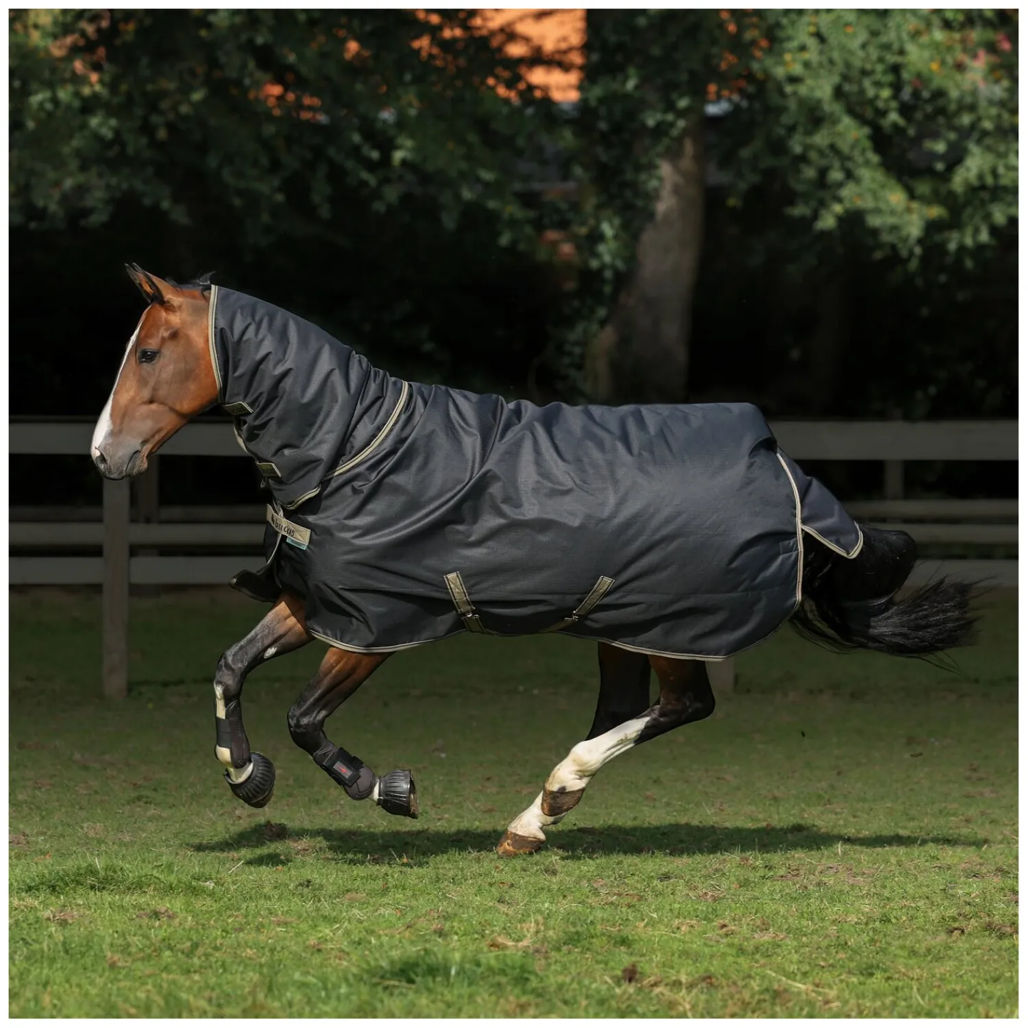 bucas Pferdedecken<Outdoordecke Freedom Turnout Full Neck Light