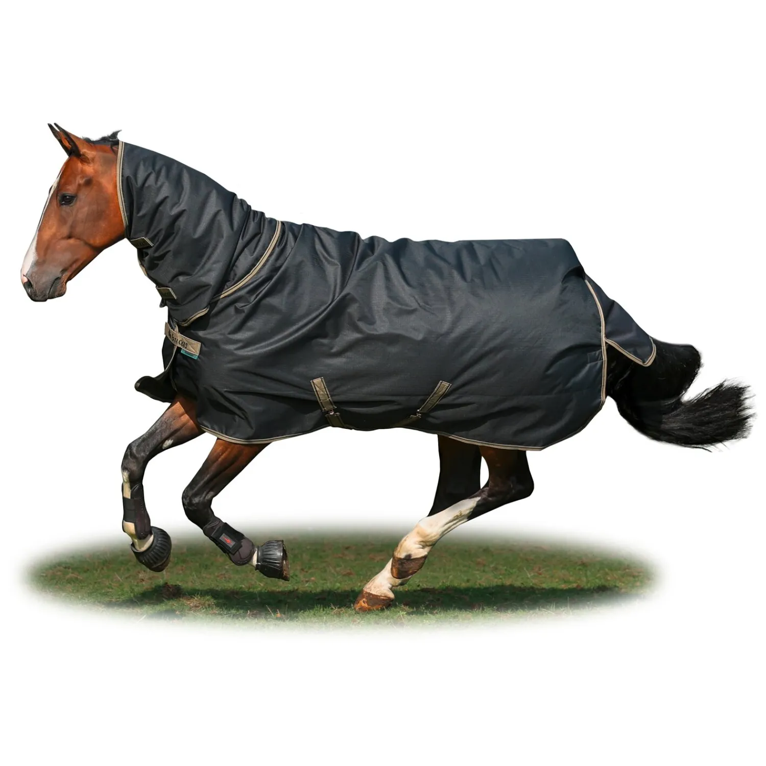 bucas Pferdedecken<Outdoordecke Freedom Turnout Full Neck Light
