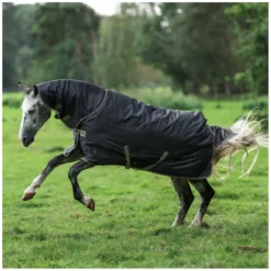 bucas Pferdedecken<Outdoordecke Freedom Turnout Full Neck Light
