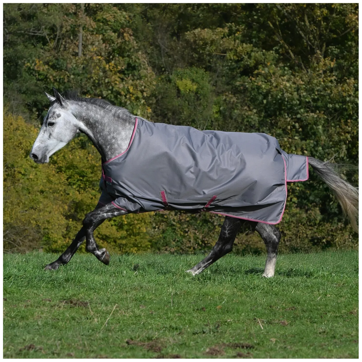 bucas Pferdedecken<Outdoordecke Freedom Turnout 150 g