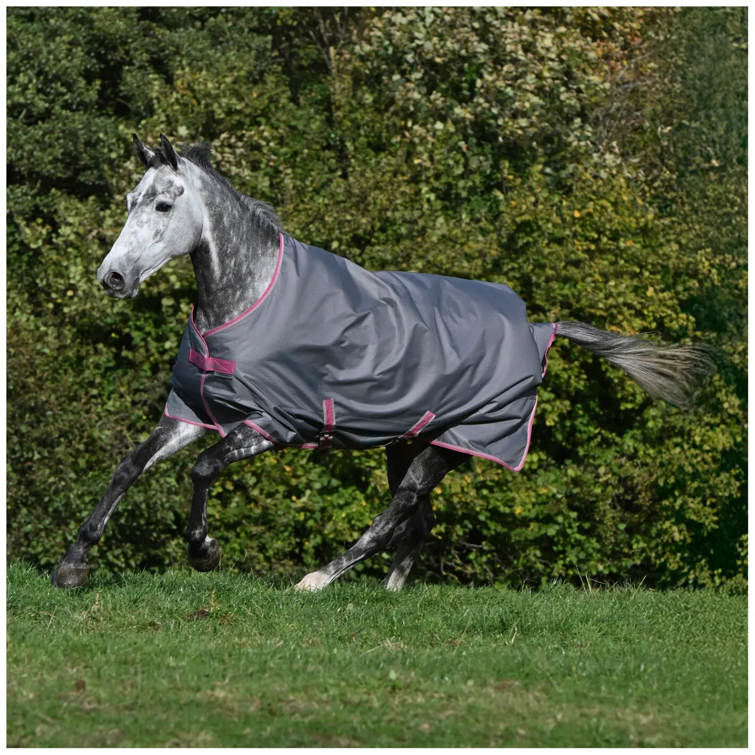 bucas Pferdedecken<Outdoordecke Freedom Turnout 150 g