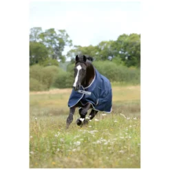 bucas Pferdedecken<Outdoordecke Freedom Turnout 150 g