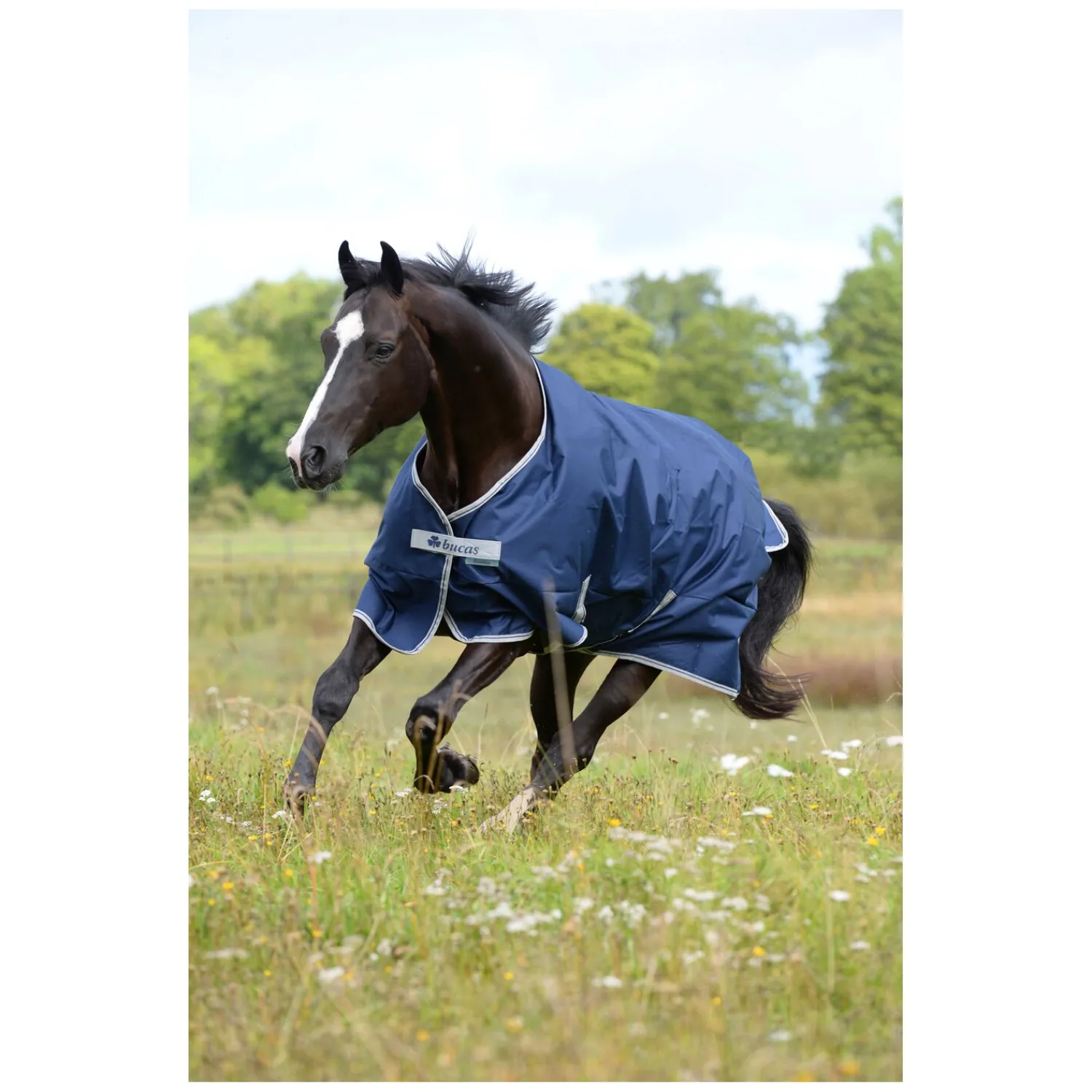bucas Pferdedecken<Outdoordecke Freedom Turnout 150 g