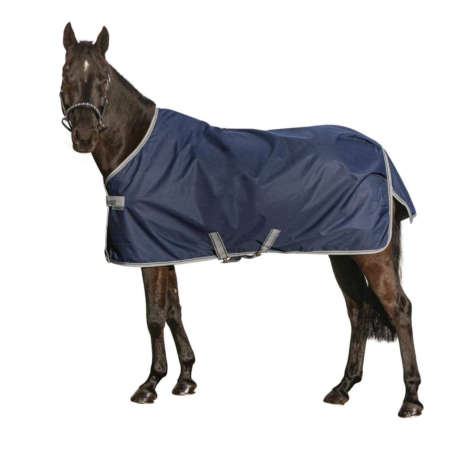 bucas Pferdedecken<Outdoordecke Freedom Turnout Light Pony