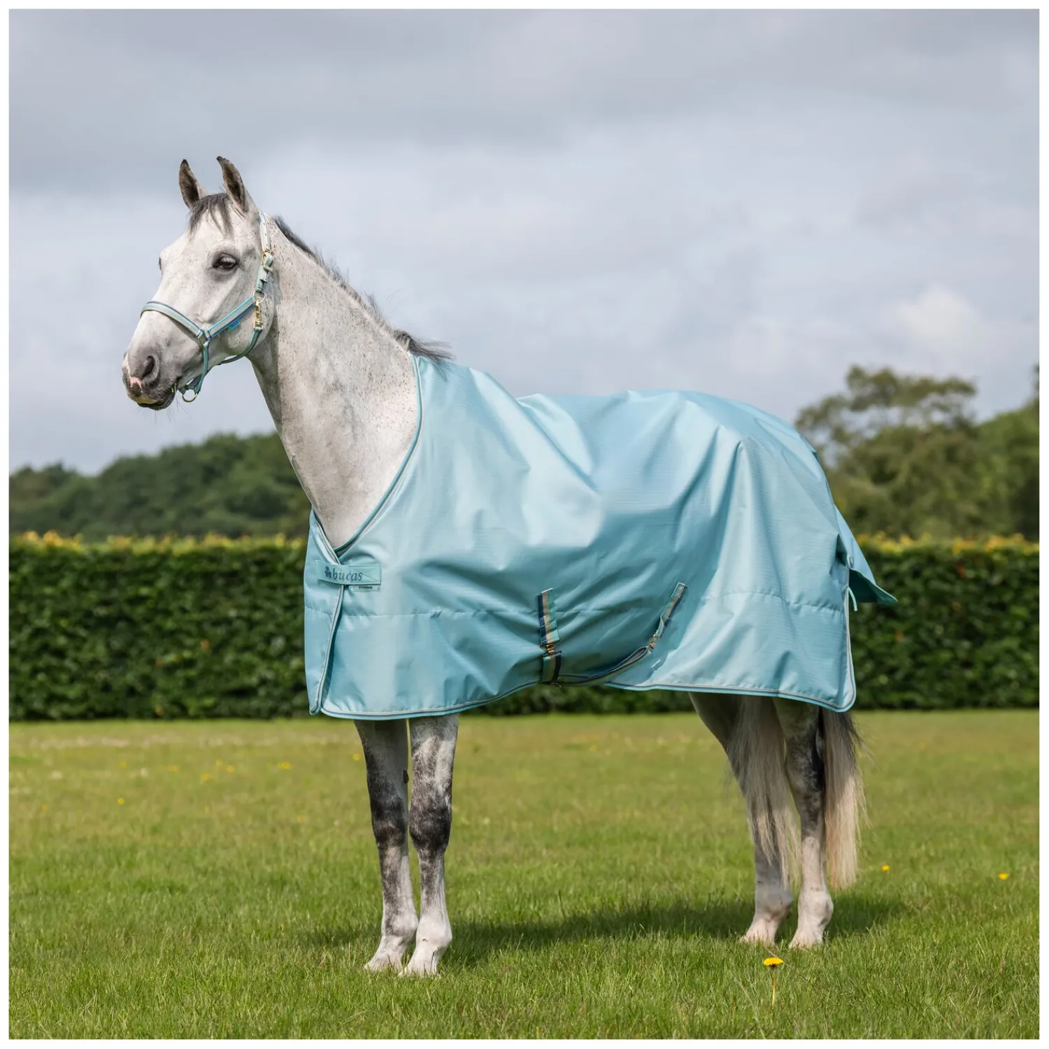 bucas Pferdedecken<Outdoordecke Freedom Turnout Light