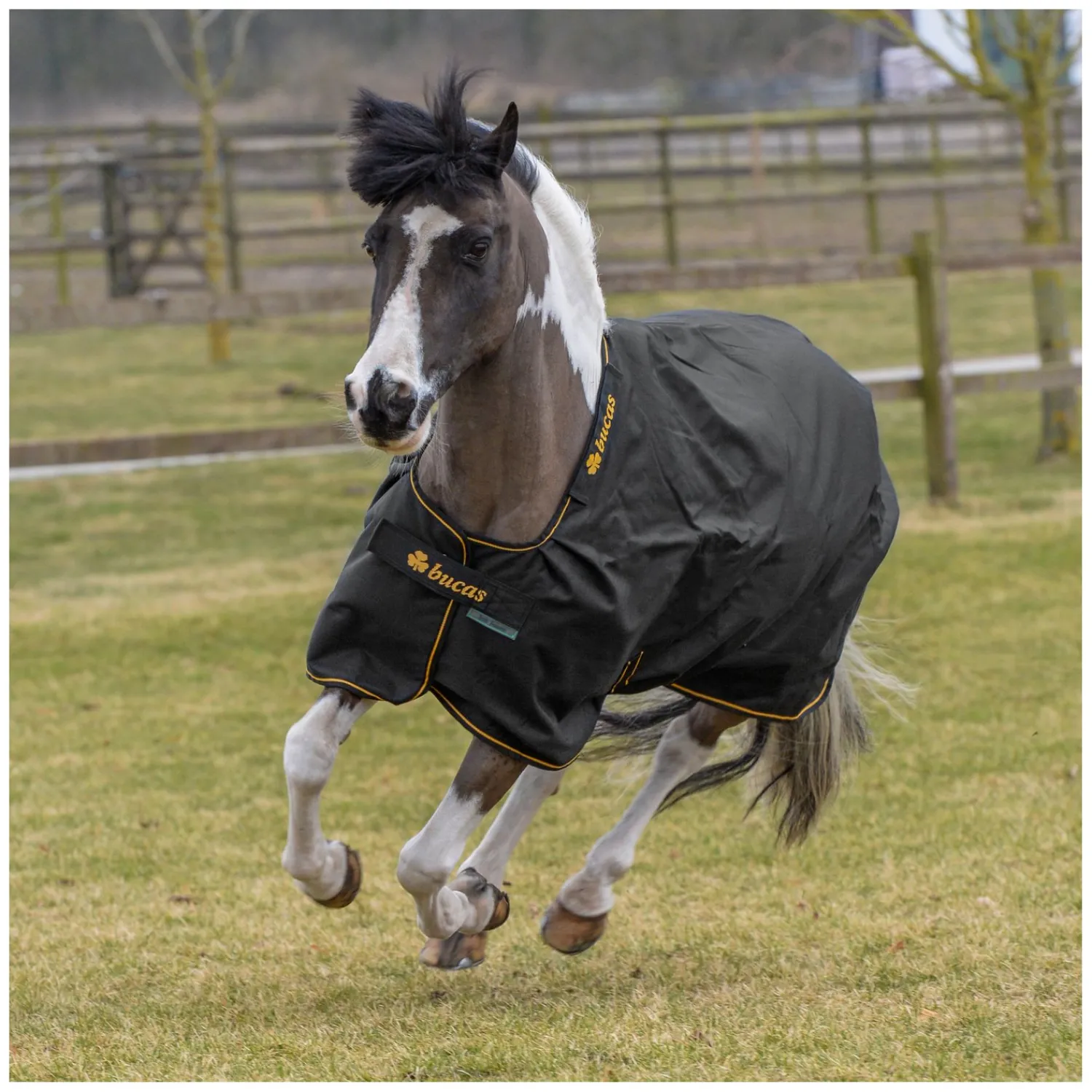 bucas Pferdedecken<Outdoordecke Irish Turnout light
