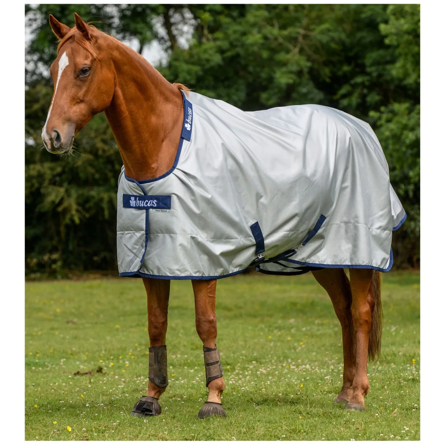 bucas Pferdedecken<Outdoordecke Power Turnout Classic Light