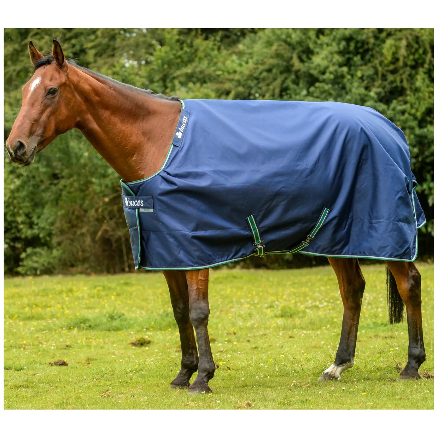 bucas Pferdedecken<Outdoordecke Smartex Medium Turnout