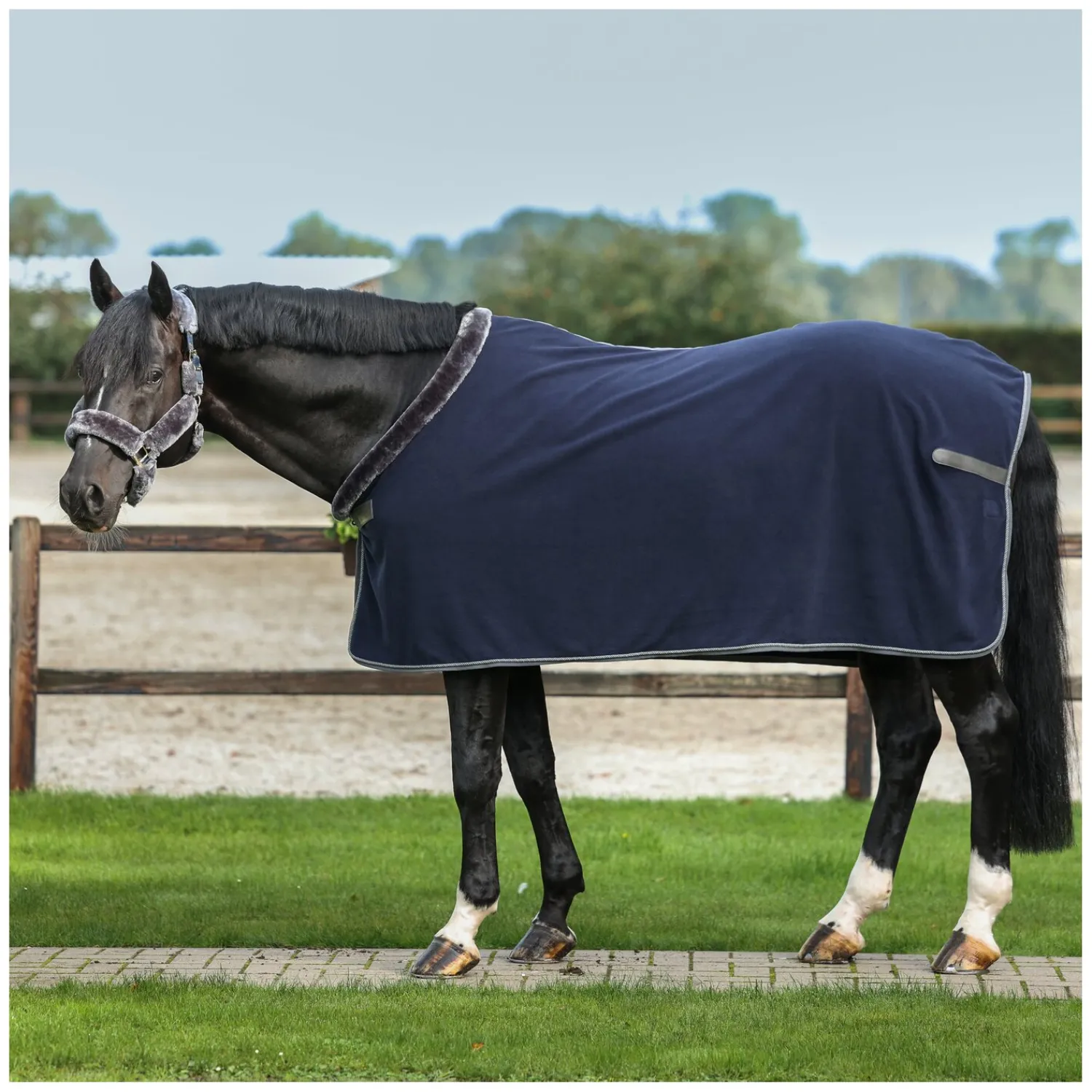 bucas Pferdedecken|Transportdecken<Show-Line Collection Abschwitzdecke