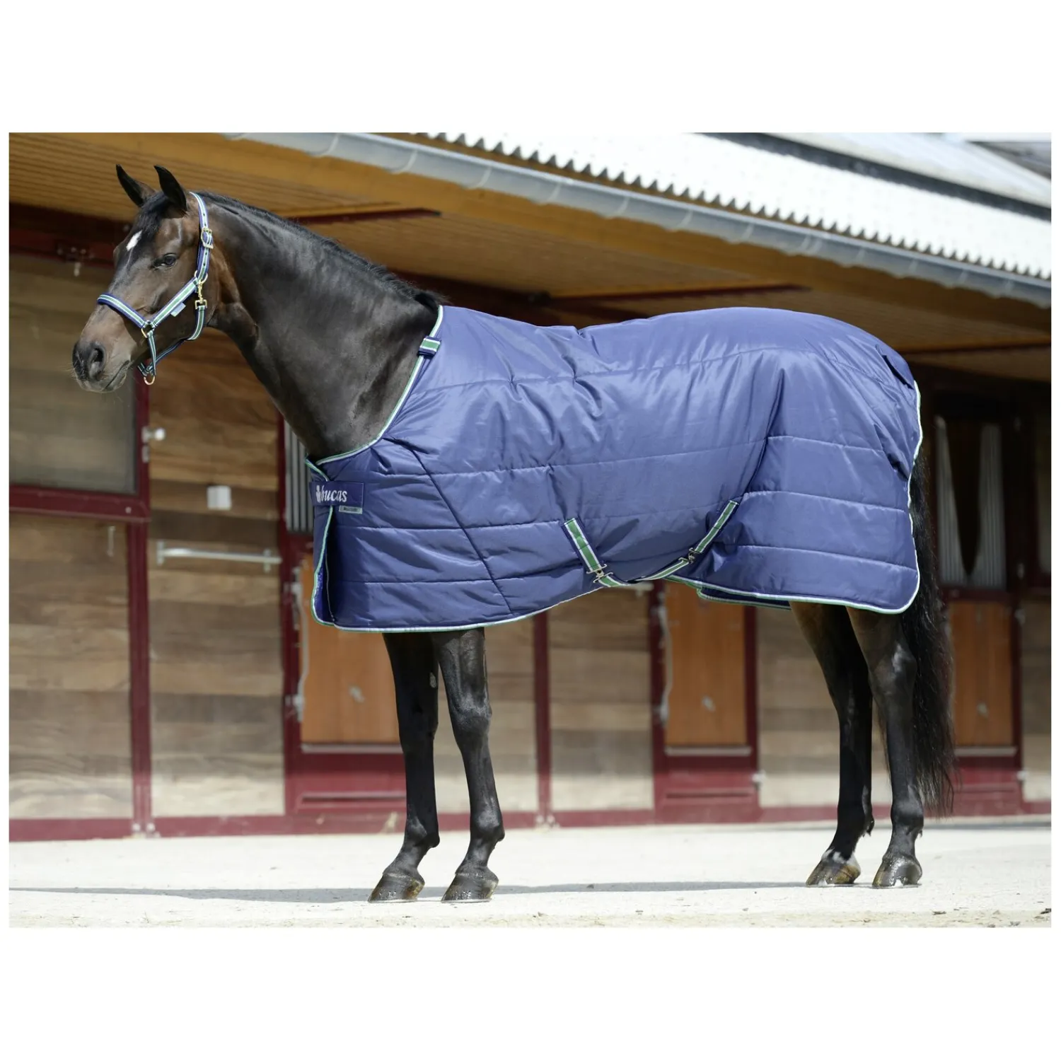 bucas Pferdedecken<Stalldecke Quilt 150g Stay-Dry